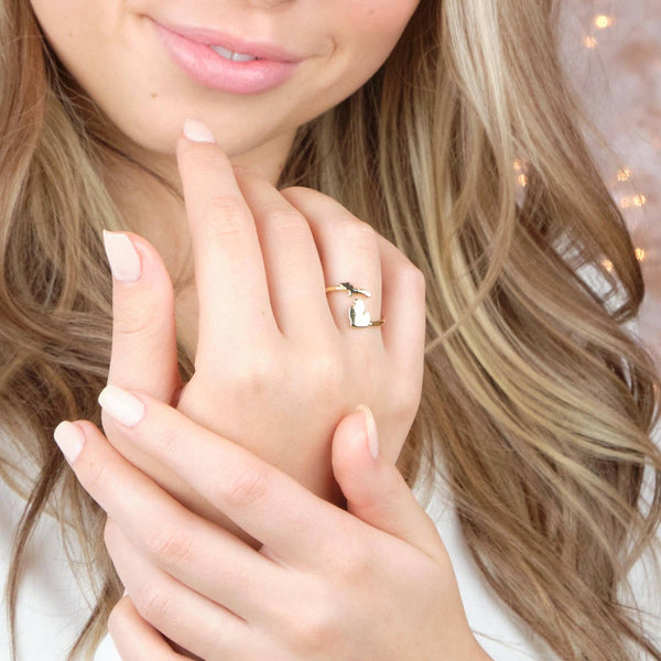 Michigan Ring - Gold
